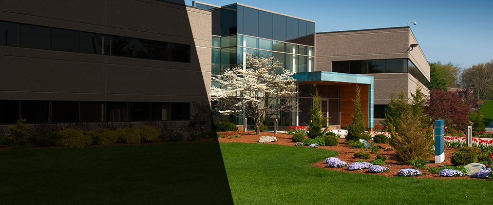 Haverford Landscapers