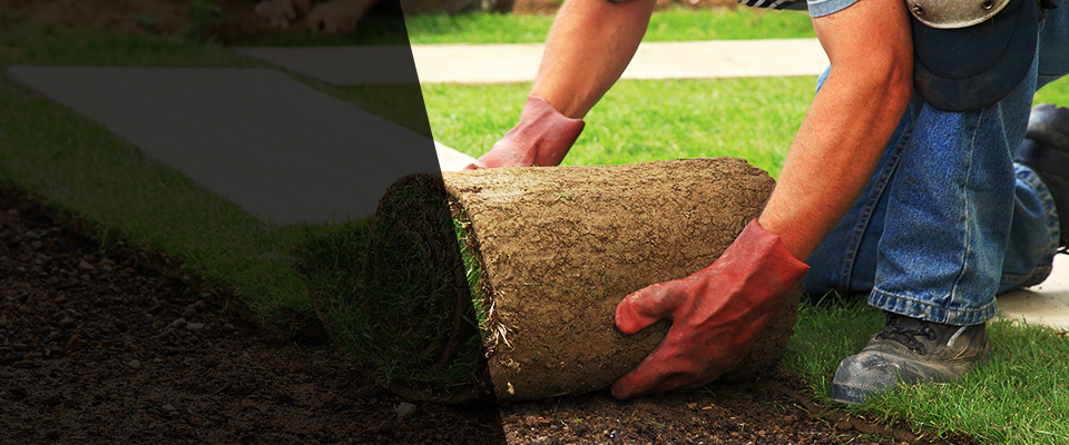 Haverford Landscapers